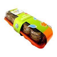 Twigz Kids Mini Greenhouse 0235**