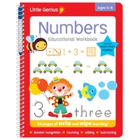 Little Genius Numbers Write & Wipe Educational Workbook 11105