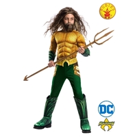 Rubies Deerfield DC Comics Aquaman Deluxe Costume Dress Up 641365 Assorted Sizes**