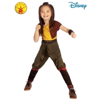Rubies Deerfield Disney Raya Classic Costume Dress Up Assorted Sizes