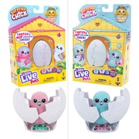 Little Live Pets Surprise Chick Single Pack Interactive Toy 26449