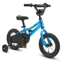 Progear Duralite 12" Bike with training wheels