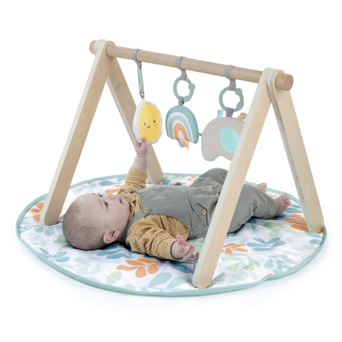 Ingenuity Sun Valley™ Wooden Toy Arch & Baby Play Mat 13122