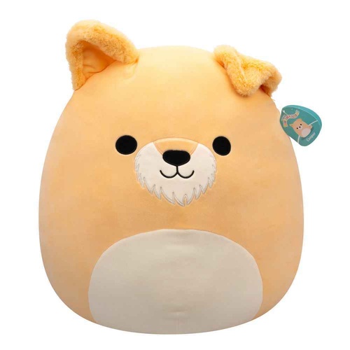 Squishmallows 20" Plush - Copper the Schnauzer Dog SQCR06700