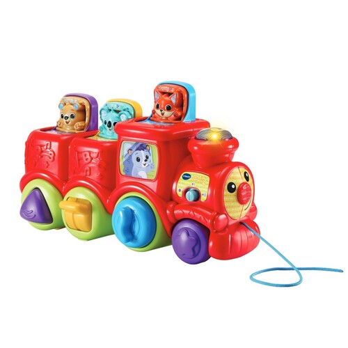 Vtech Baby Pop & Sing Animal Train 554903