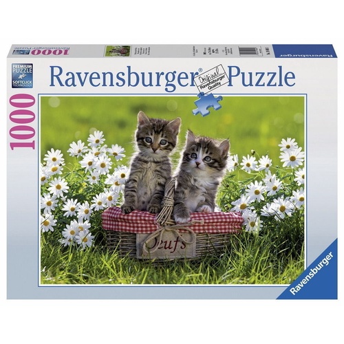 Ravensburger Picnic In The Meadow 1000pc Jigsaw Puzzle RB19480