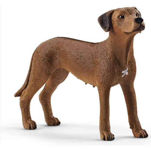 Schleich Rhodesian Ridgeback Toy Figure SC13895