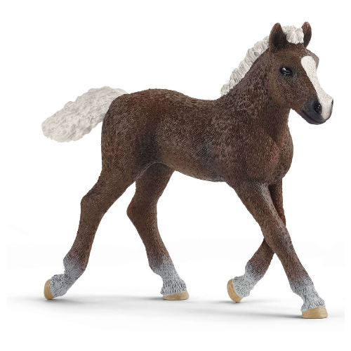 Schleich Black Forest Foal Toy Figure SC13899