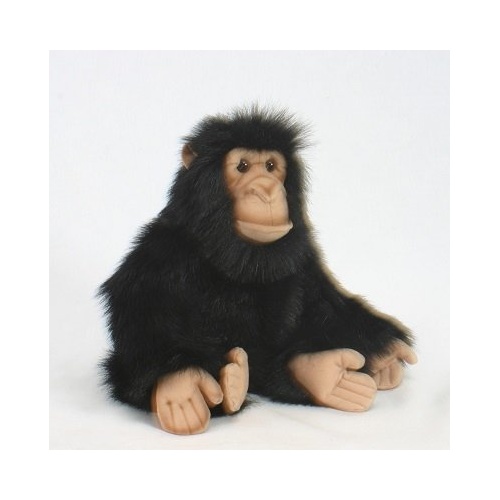 Hansa Chimp 25cm HC2306