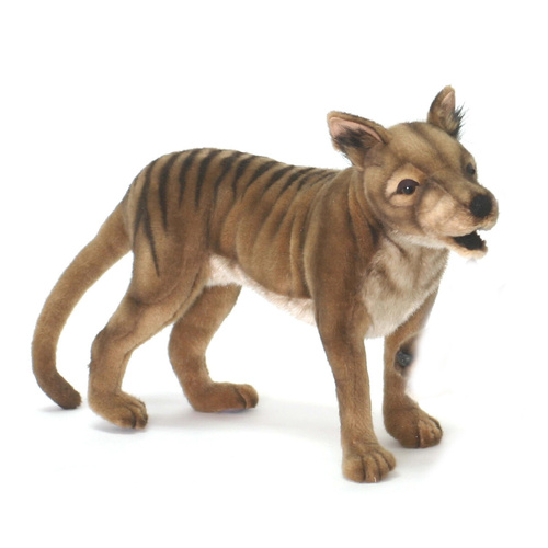 Hansa Tasmanian Tiger 35cm HC5136