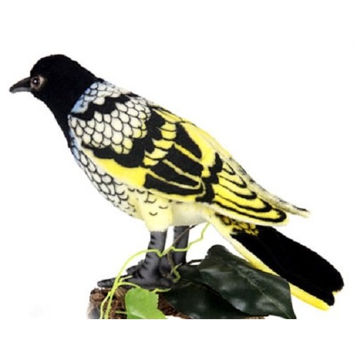 Hansa Regent Honeyeater 25cm HC6040