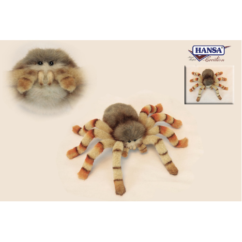 Hansa Jumping Spider 29cm HC6556