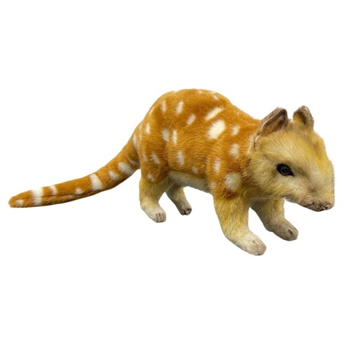 Hansa Quoll 57cm HC7795