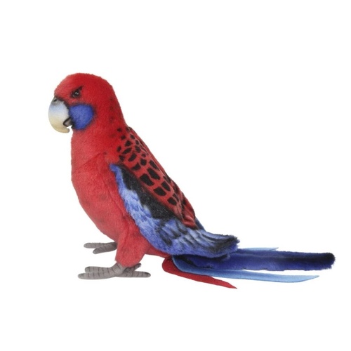 Hansa Crimson Rosella 30cm HC8222
