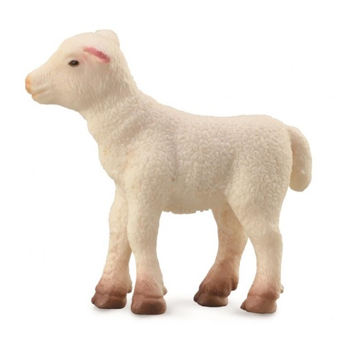 CollectA Lamb Standing Toy Figure 88009