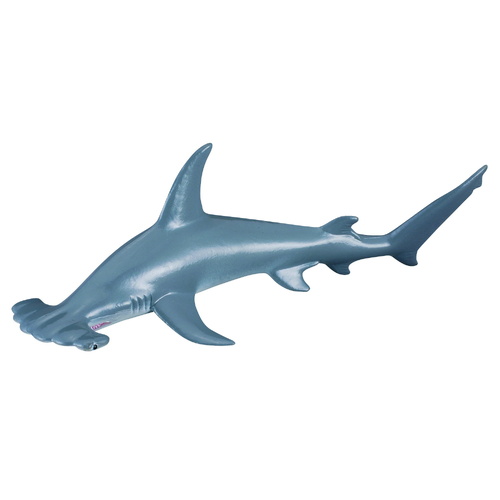 CollectA Scalloped Hammerhead Shark Toy Figure 88045