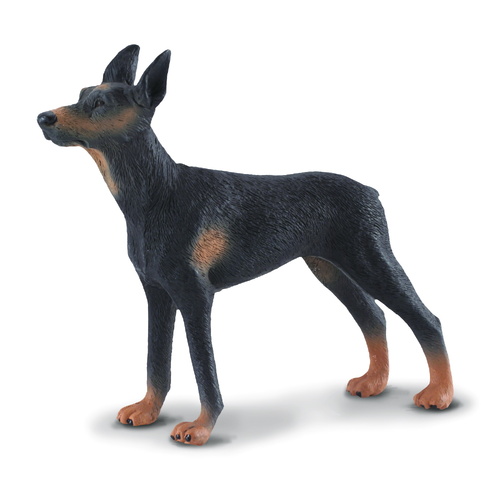 CollectA Doberman Pinscher Dog Toy Figure 88086