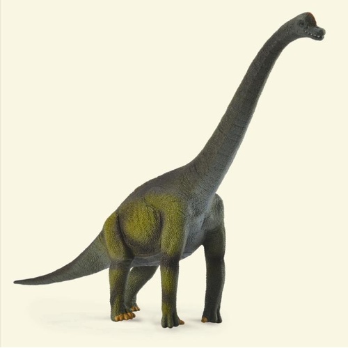 CollectA Brachiosaurus Dinosaur Toy Figurine 88121