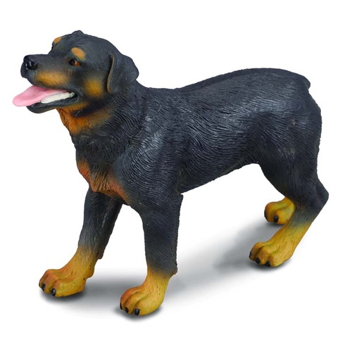 CollectA Rottweiler Dog Toy Figure 88189
