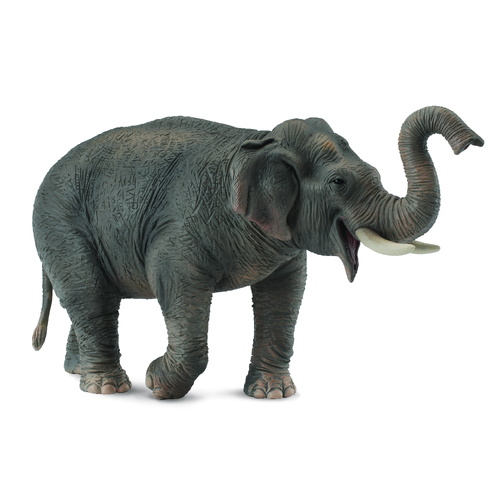 CollectA Asian Elephant Toy Figure 88486
