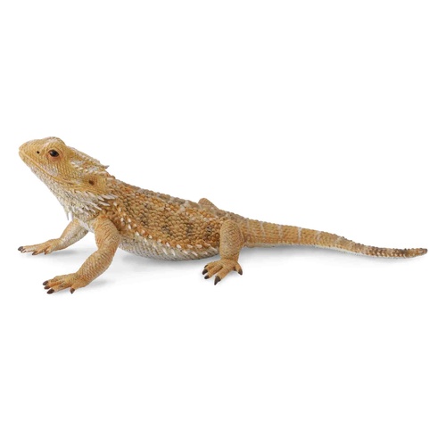 CollectA Bearded Dragon Lizard Toy Figure 8857