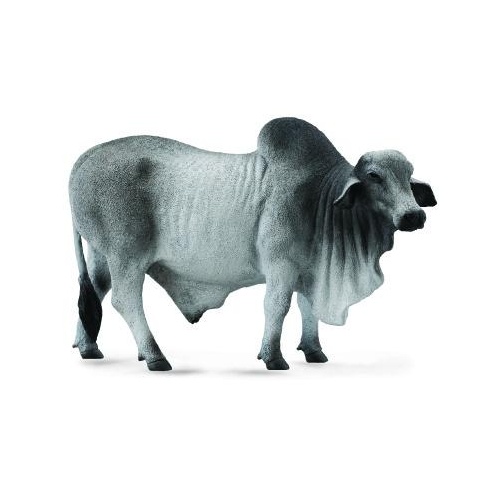 CollectA Brahman Bull Toy Figure 88579