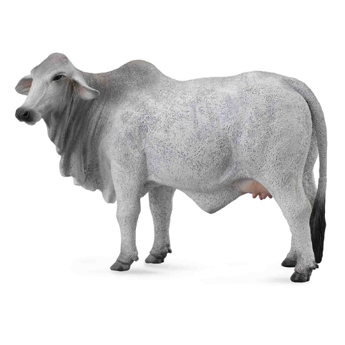 CollectA Brahman Cow Grey Toy Figure 88580