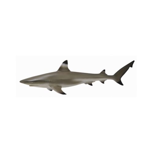 CollectA Blacktip Reef Shark Toy Figure 88726
