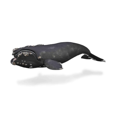 CollectA Right Whale Toy Figure 88740