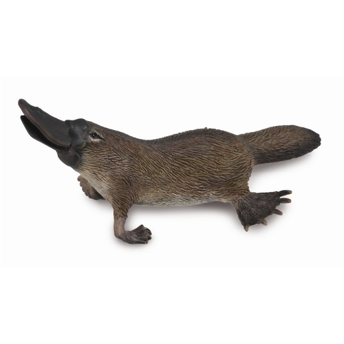 CollectA Platypus Toy Figurine 88795