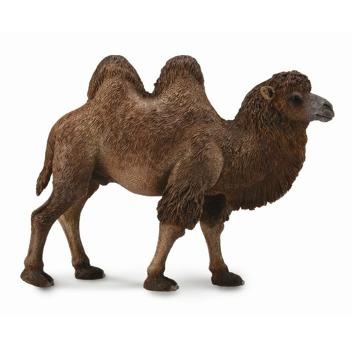CollectA Bactrian Camel 88807