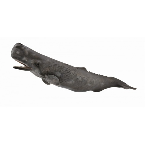 CollectA Sperm Whale Toy Figure 88835