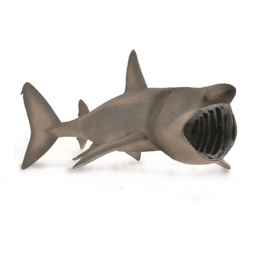CollectA Basking Shark Toy Figurine 88914