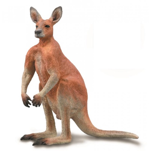 Collecta Male Red Kangaroo Toy Figure 88942