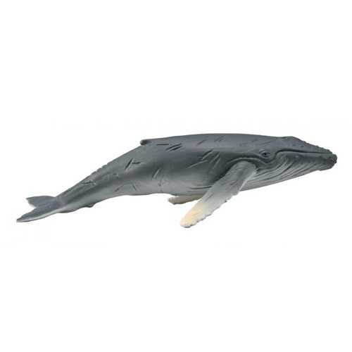CollectA Humpack Whale Calf Toy Figurine 88963