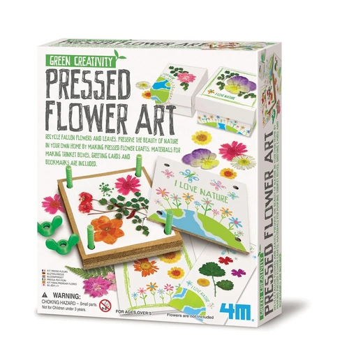 4M Green Creativity Pressed Flower Art C4567