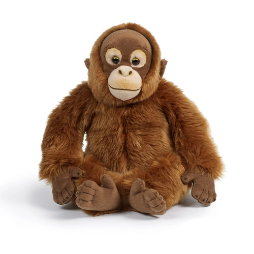 Living Nature Orangutan 30cm AN393