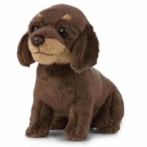 Living Nature Daschund Puppy 16cm AN446