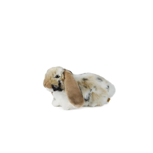 Living Nature Brown Dutch Lop Ear Rabbit 30cm AN316B