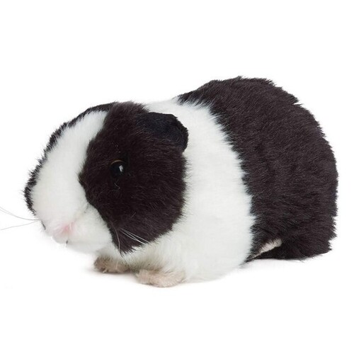 Living Nature Guinea Pig with Sound 20cm Black AN18