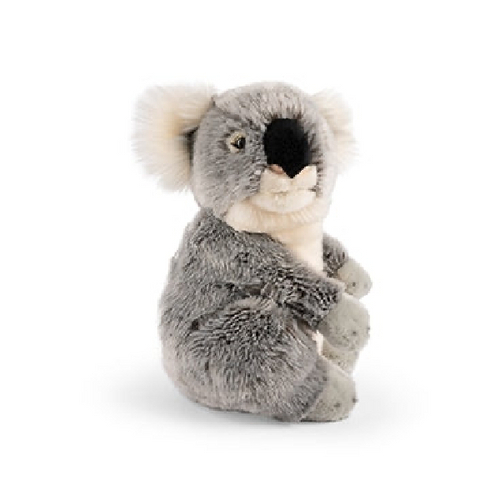 Living Nature Koala 25cm AN684