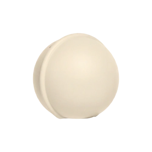 BIBS Pacifier/Dummy Mini Case Ivory
