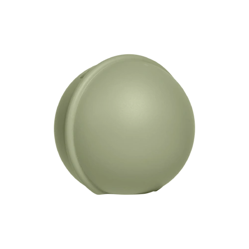 BIBS Pacifier/Dummy Mini Case Sage
