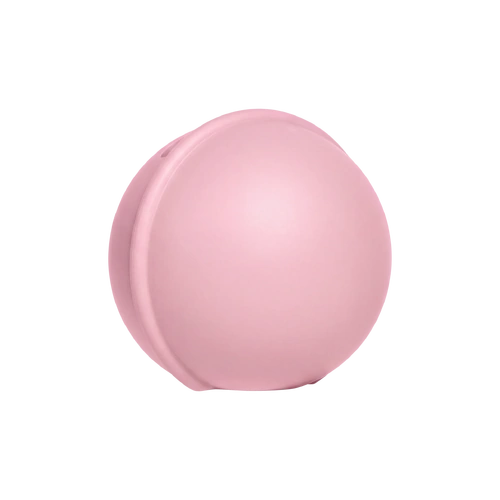 BIBS Pacifier/Dummy Mini Case Baby Pink