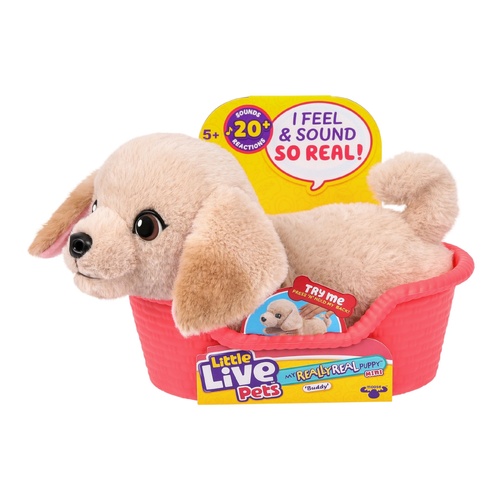 Little Live Pets My Really Real Puppy - Buddy 26611