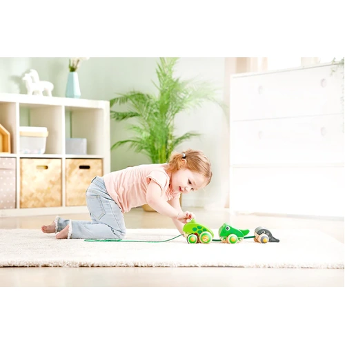 Hape Pull-Along Frog Family 0365