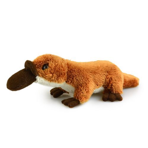 Korimco 15cm Lil Friends Platypus Plush Toy 2672