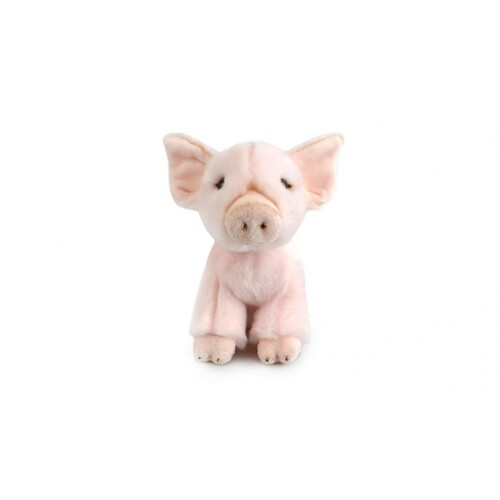Korimco 18cm Lil Friends Pig Stuffed Animal Toy 3686