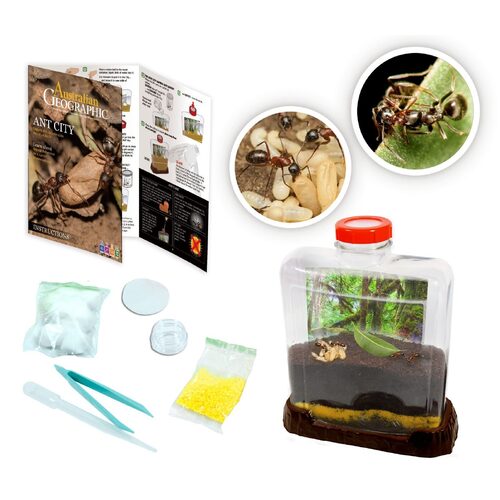 Australian Geographic Ant City 925-AG