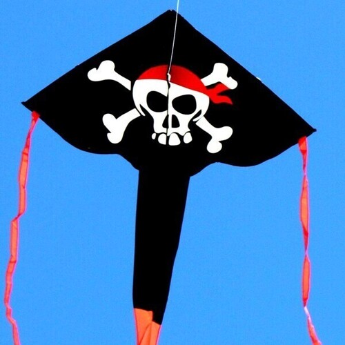 Windspeed Kites Pirate Delta Single String Kite